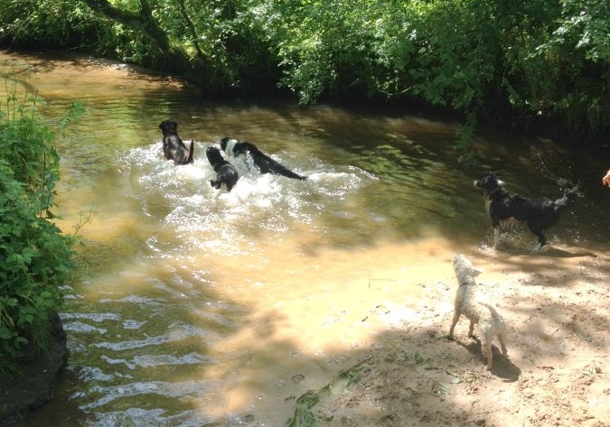 Cooling Off